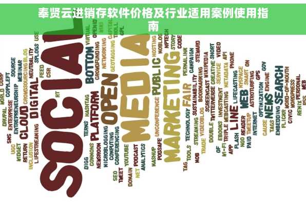 奉贤云进销存软件价格及行业适用案例使用指南