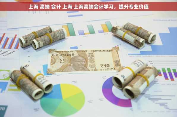 上海 高端 会计 上海 上海高端会计学习，提升专业价值
