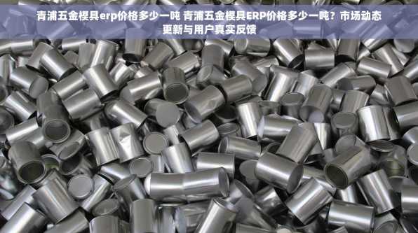 青浦五金模具erp价格多少一吨 青浦五金模具ERP价格多少一吨？市场动态更新与用户真实反馈