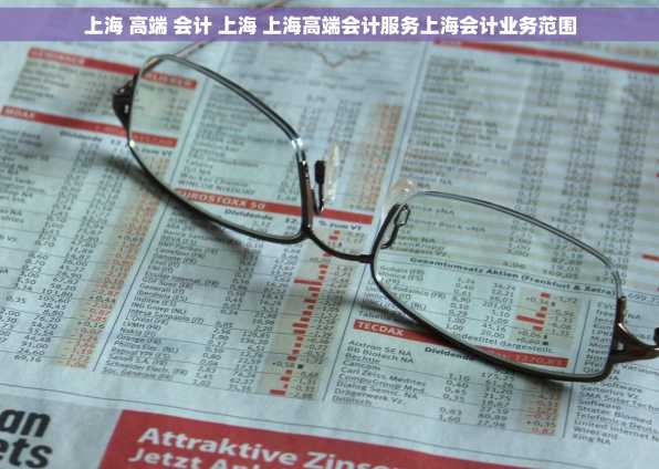 上海 高端 会计 上海 上海高端会计服务上海会计业务范围