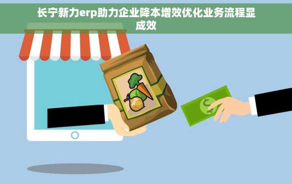 长宁新力erp助力企业降本增效优化业务流程显成效