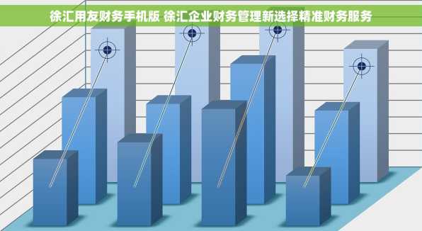 徐汇用友财务手机版 徐汇企业财务管理新选择精准财务服务