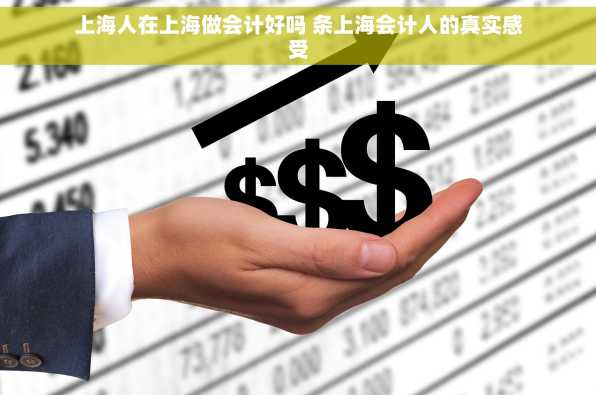 上海人在上海做会计好吗 条上海会计人的真实感受