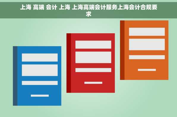 上海 高端 会计 上海 上海高端会计服务上海会计合规要求