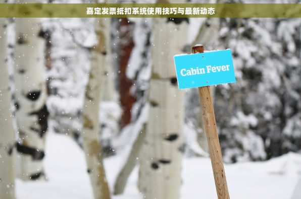 嘉定发票抵扣系统使用技巧与最新动态