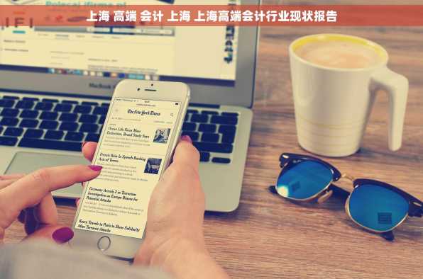 上海 高端 会计 上海 上海高端会计行业现状报告