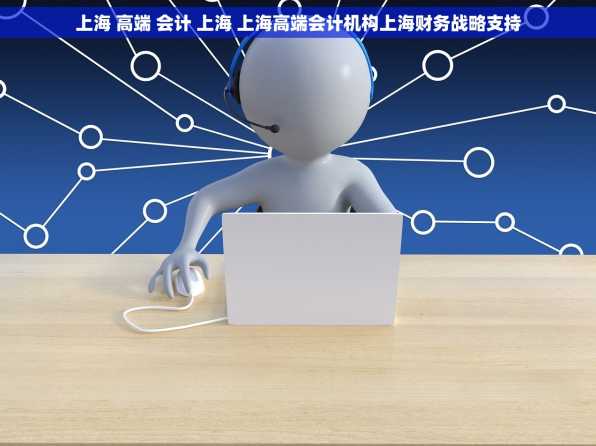 上海 高端 会计 上海 上海高端会计机构上海财务战略支持
