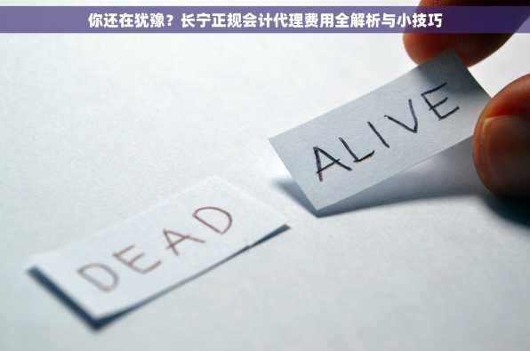 你还在犹豫？长宁正规会计代理费用全解析与小技巧