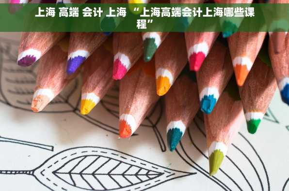 上海 高端 会计 上海 “上海高端会计上海哪些课程”