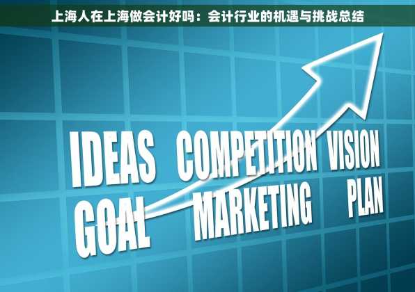 上海人在上海做会计好吗：会计行业的机遇与挑战总结