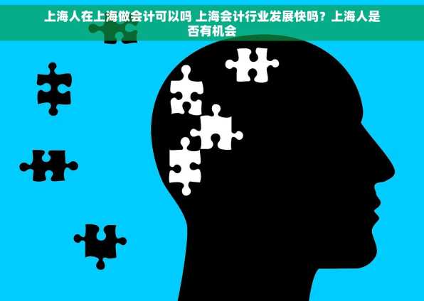 上海人在上海做会计可以吗 上海会计行业发展快吗？上海人是否有机会