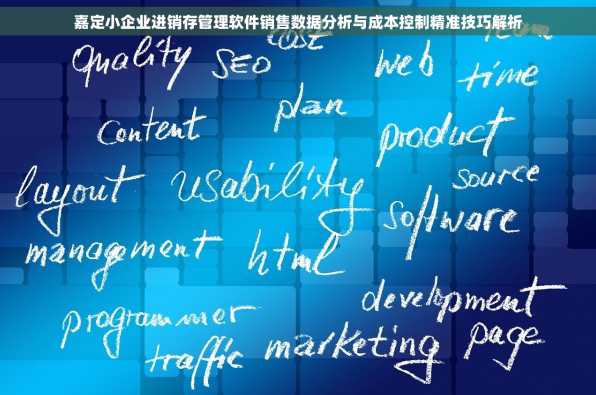 嘉定小企业进销存管理软件销售数据分析与成本控制精准技巧解析
