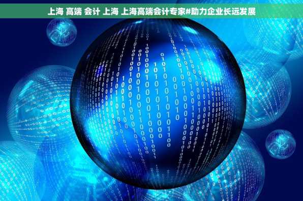 上海 高端 会计 上海 上海高端会计专家#助力企业长远发展