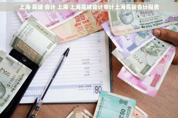 上海 高端 会计 上海 上海高端会计审计上海高端会计报告