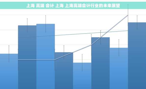 上海 高端 会计 上海 上海高端会计行业的未来展望
