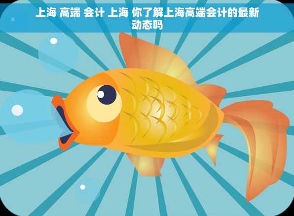 上海 高端 会计 上海 你了解上海高端会计的最新动态吗