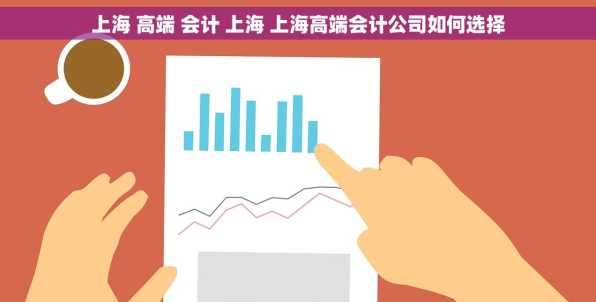 上海 高端 会计 上海 上海高端会计公司如何选择