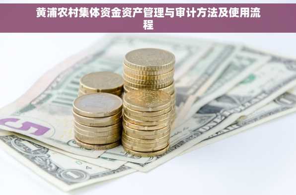 黄浦农村集体资金资产管理与审计方法及使用流程