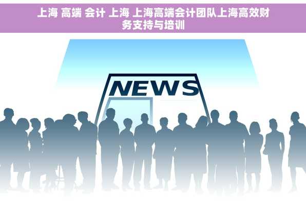 上海 高端 会计 上海 上海高端会计团队上海高效财务支持与培训