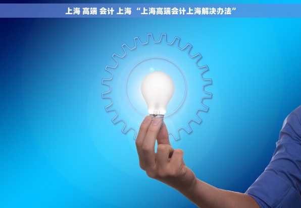 上海 高端 会计 上海 “上海高端会计上海解决办法”