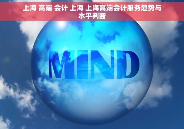 上海 高端 会计 上海 上海高端会计服务趋势与水平判断
