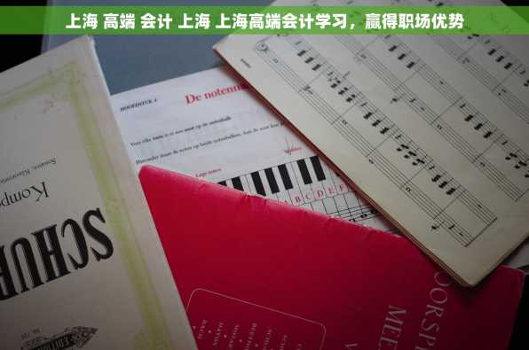 上海 高端 会计 上海 上海高端会计学习，赢得职场优势