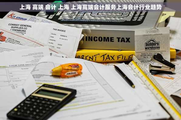 上海 高端 会计 上海 上海高端会计服务上海会计行业趋势
