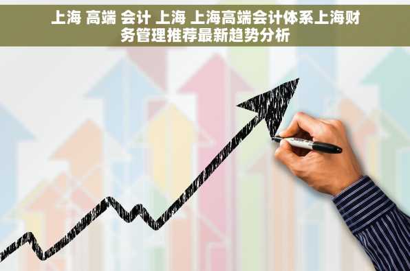 上海 高端 会计 上海 上海高端会计体系上海财务管理推荐最新趋势分析
