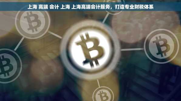 上海 高端 会计 上海 上海高端会计服务，打造专业财税体系