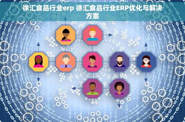 徐汇食品行业erp 徐汇食品行业ERP优化与解决方案