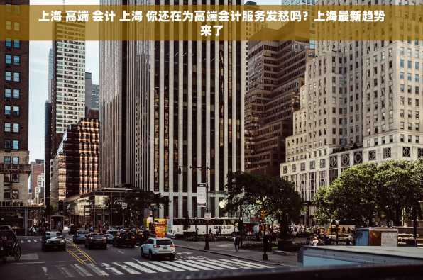 上海 高端 会计 上海 你还在为高端会计服务发愁吗？上海最新趋势来了