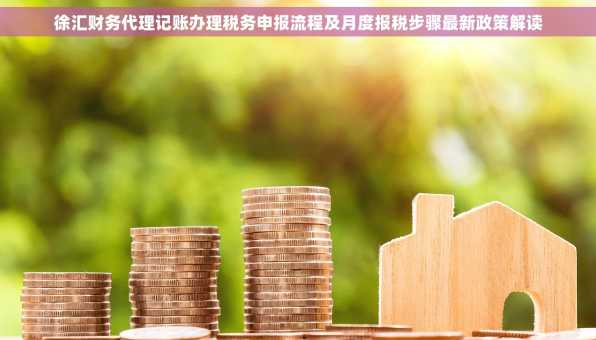 徐汇财务代理记账办理税务申报流程及月度报税步骤最新政策解读