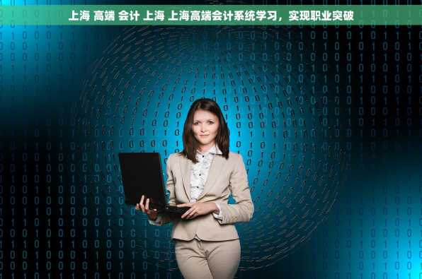 上海 高端 会计 上海 上海高端会计系统学习，实现职业突破