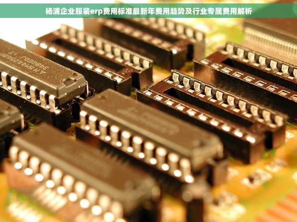 杨浦企业服装erp费用标准最新年费用趋势及行业专属费用解析