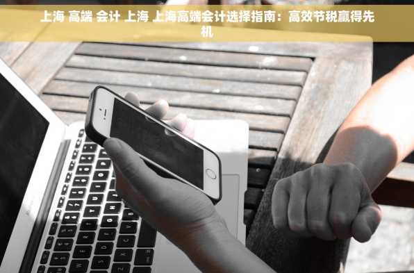 上海 高端 会计 上海 上海高端会计选择指南：高效节税赢得先机