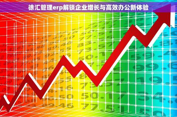 徐汇管理erp解锁企业增长与高效办公新体验