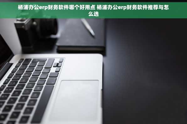 杨浦办公erp财务软件哪个好用点 杨浦办公erp财务软件推荐与怎么选