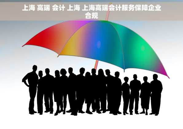 上海 高端 会计 上海 上海高端会计服务保障企业合规