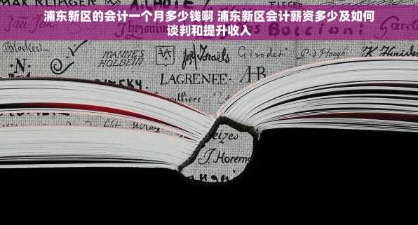 浦东新区的会计一个月多少钱啊 浦东新区会计薪资多少及如何谈判和提升收入