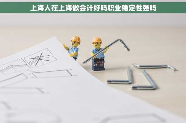 上海人在上海做会计好吗职业稳定性强吗