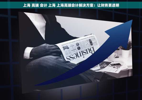 上海 高端 会计 上海 上海高端会计解决方案：让财务更透明
