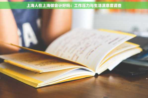 上海人在上海做会计好吗：工作压力与生活满意度调查