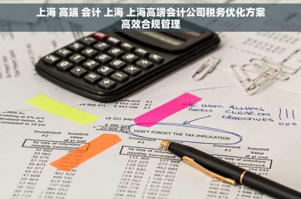 上海 高端 会计 上海 上海高端会计公司税务优化方案高效合规管理