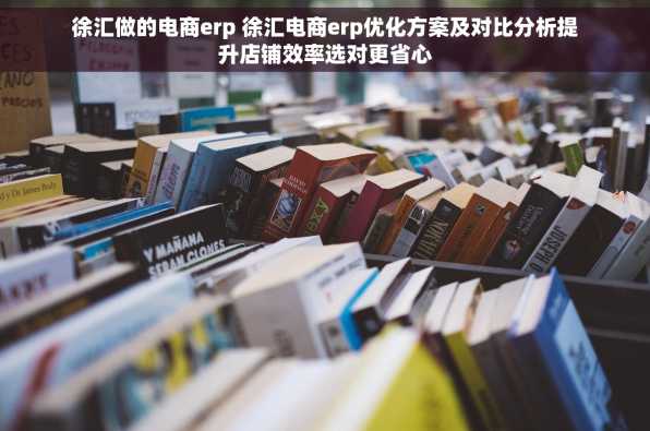 徐汇做的电商erp 徐汇电商erp优化方案及对比分析提升店铺效率选对更省心