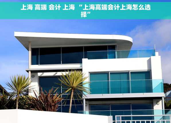 上海 高端 会计 上海 “上海高端会计上海怎么选择”