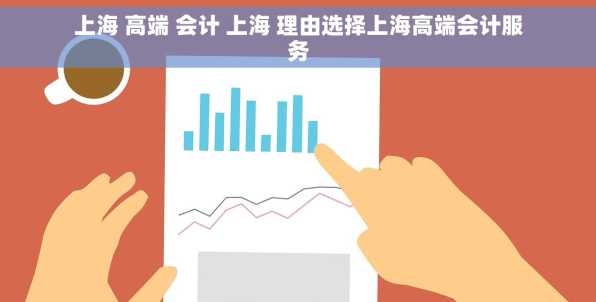 上海 高端 会计 上海 理由选择上海高端会计服务