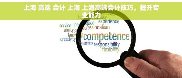 上海 高端 会计 上海 上海高端会计技巧，提升专业能力