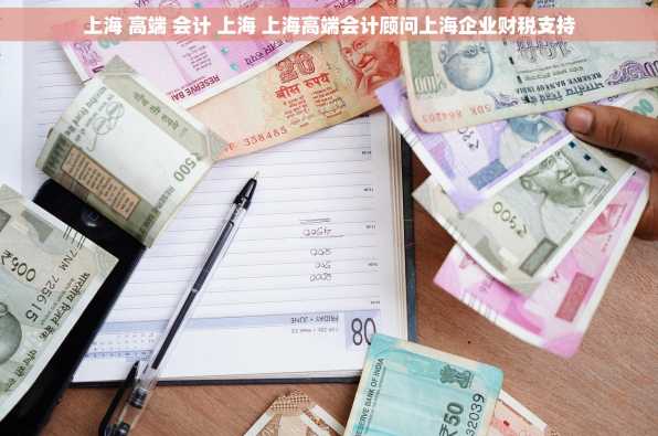 上海 高端 会计 上海 上海高端会计顾问上海企业财税支持