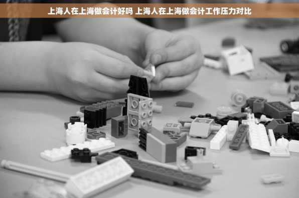 上海人在上海做会计好吗 上海人在上海做会计工作压力对比