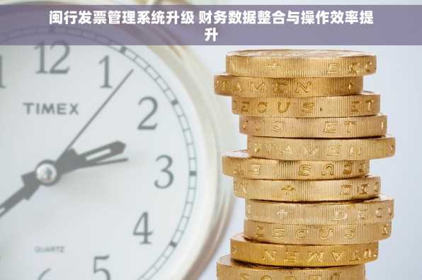闽行发票管理系统升级 财务数据整合与操作效率提升